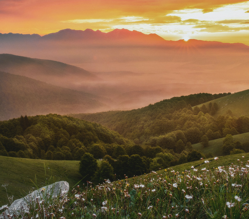 Derek Wittmann Family Funeral Directors