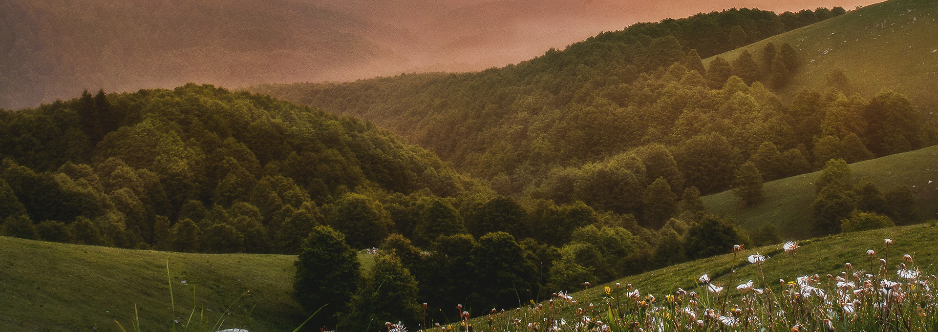 Derek Wittmann Family Funeral Directors banner images